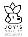 Joy's Novelty Succulents